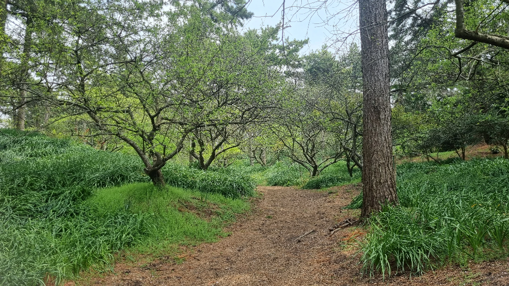 한림공원