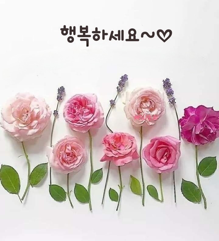  오늘의 좋은글 308번째 감사하는 마음을 가져야 진정한 부자가 될 수 있습니다