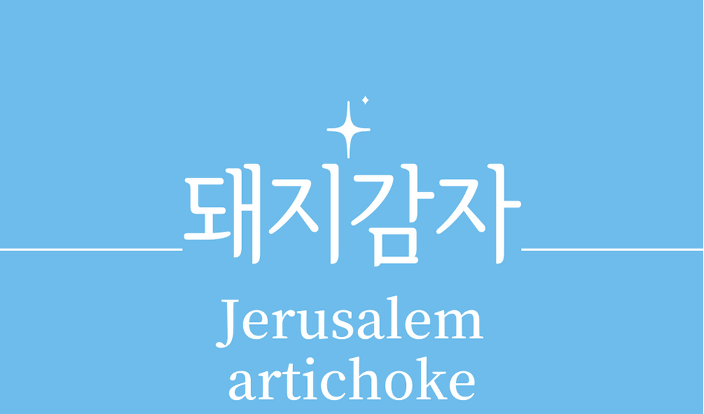 &#39;돼지감자(Jerusalem artichoke)&#39;