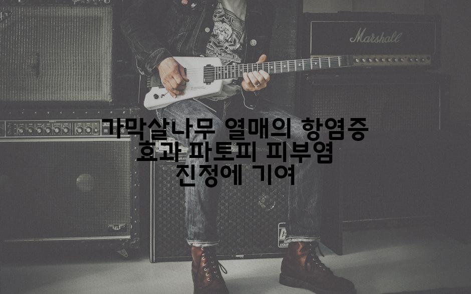 가막살나무 열매의 항염증 효과 파토피 피부염 진정에 기여