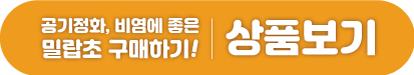 밀랍초 구매하러 가기 버튼 URL 연결 이미지