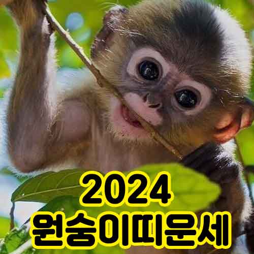 24년 원숭이띠운세 썸네일