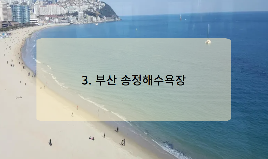 부산 송정해수욕장