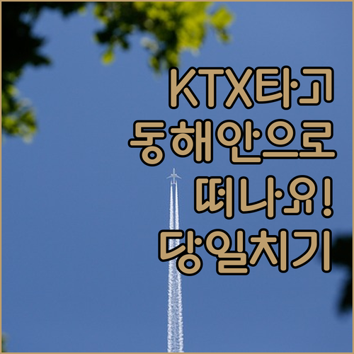 동해안 당일치기: KTX와 바다열차로