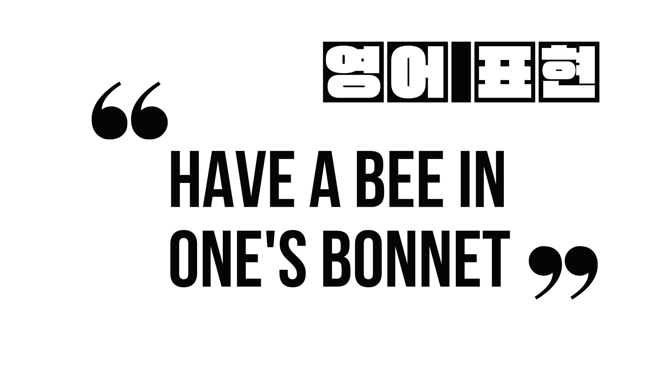  (알아 두면 유용한 표현) have a bee in one's bonnet