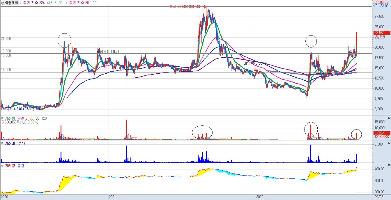 HLB제약-일봉-차트1
