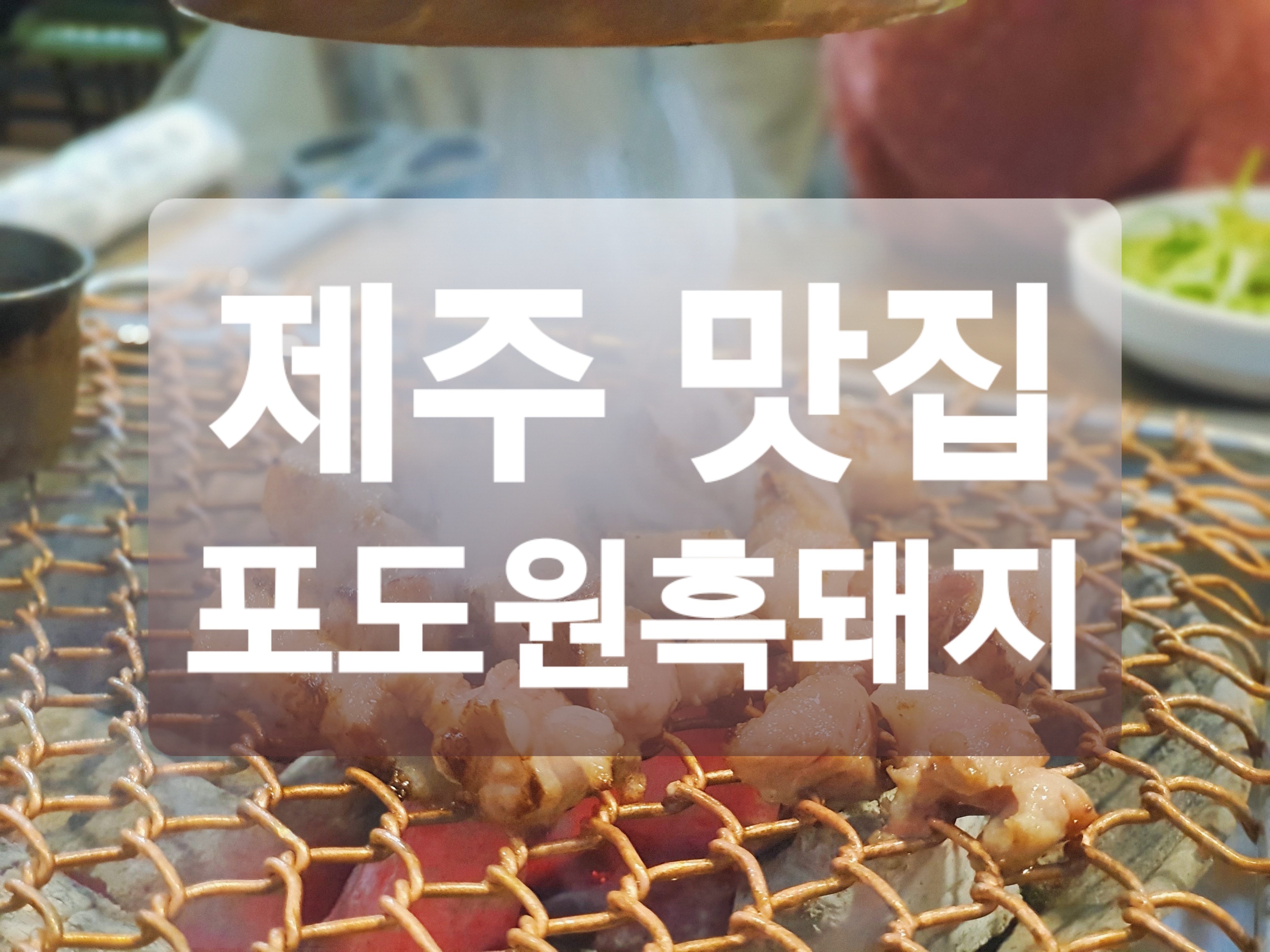  제주도 맛집 :: 제주도 현지인 추천 흑돼지 맛집 포도원흑돼지