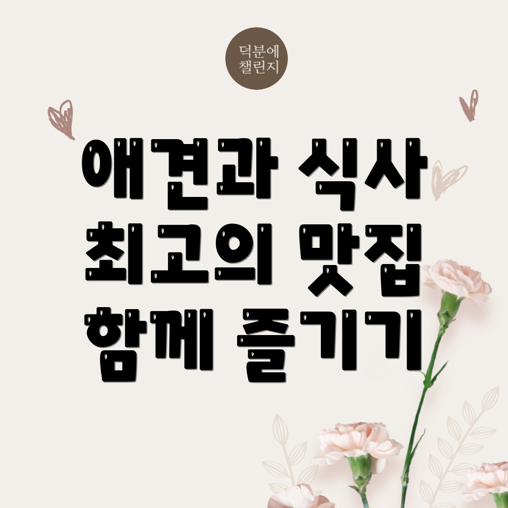 삼척시 애견동반식당