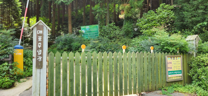 무등산 편백자연휴양림(화순) 편백숲 산책로 매표후 입장 간판