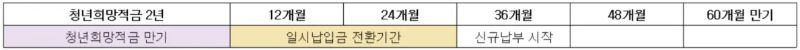 일시납입-전환기간