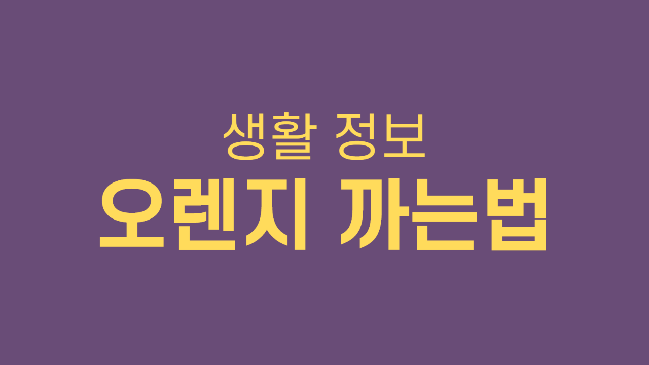  오렌지 까는법 알려드리겠습니다!