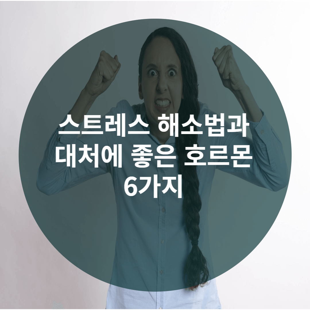  스트레스 해소법, 대처에 좋은 6가지 호르몬 정리