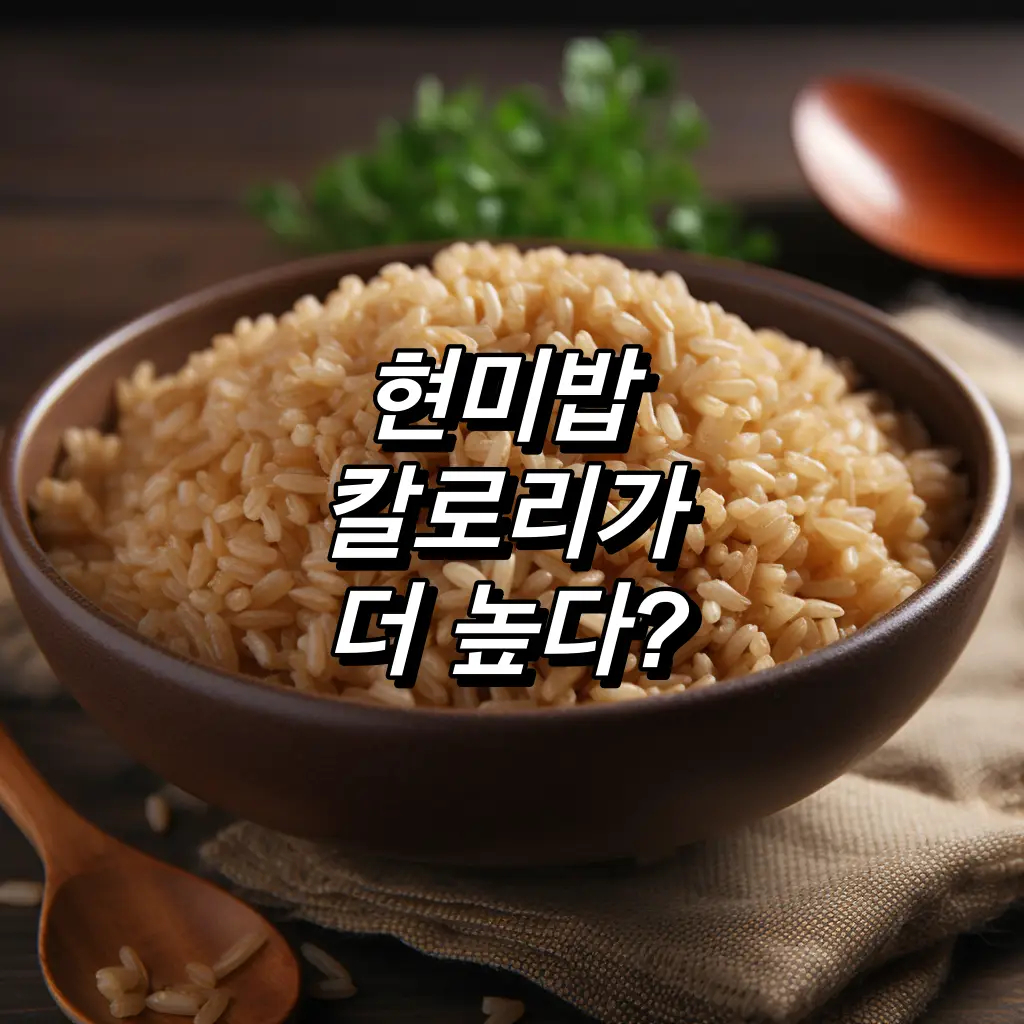 현미밥과 쌀밥