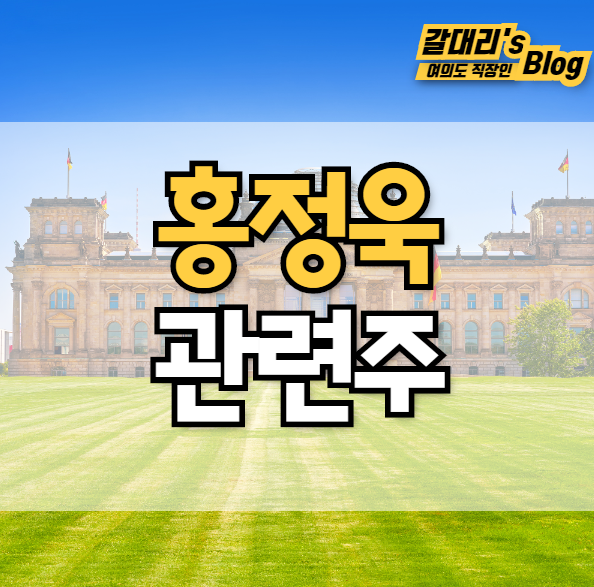  홍정욱 관련주