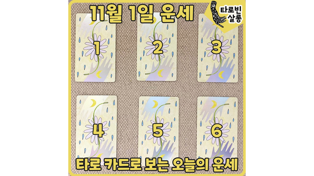  [11월 1일 운세] 타로 카드로 보는 365일 오늘의 운세