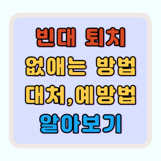 빈대 퇴치 방법