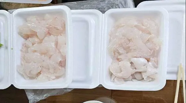 꼭지네