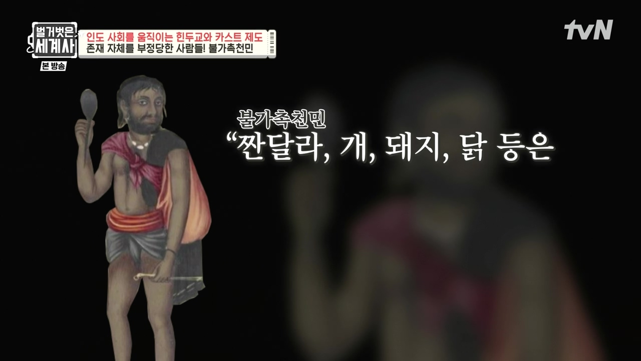 벌거벗은 세계사.E115.230906p-NEXT.mp4_20240406_174319.207.jpg