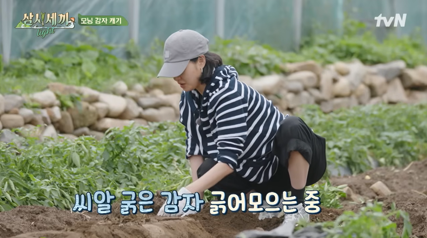 삼시세끼 라이트 4화 이미지