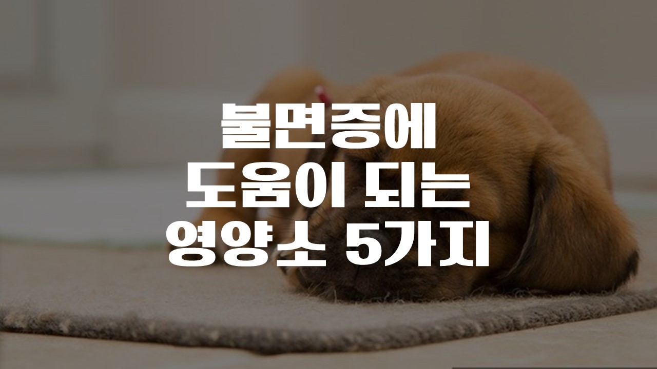  불면증에 도움이 되는 영양소 5가지