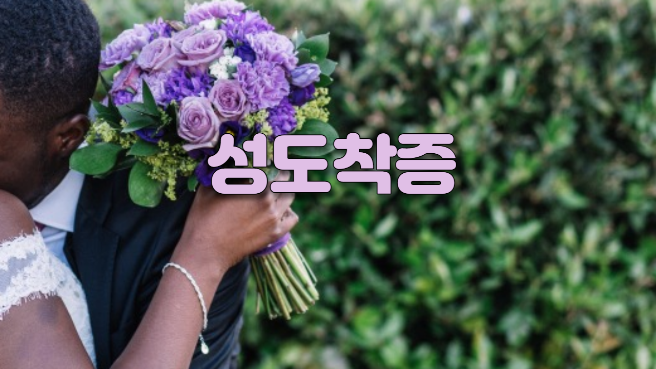  성도착증