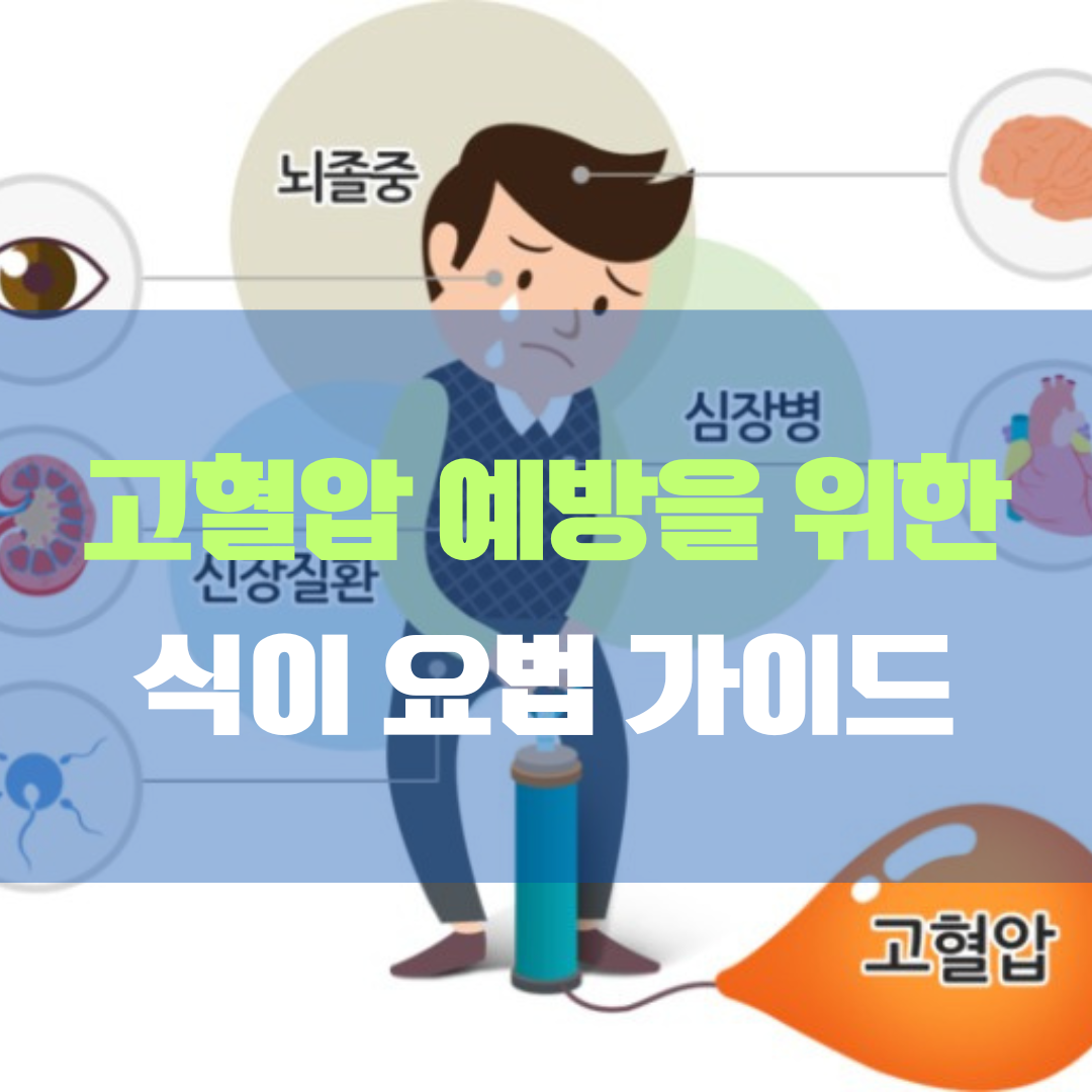 고혈압 예방 식이요법 가이드