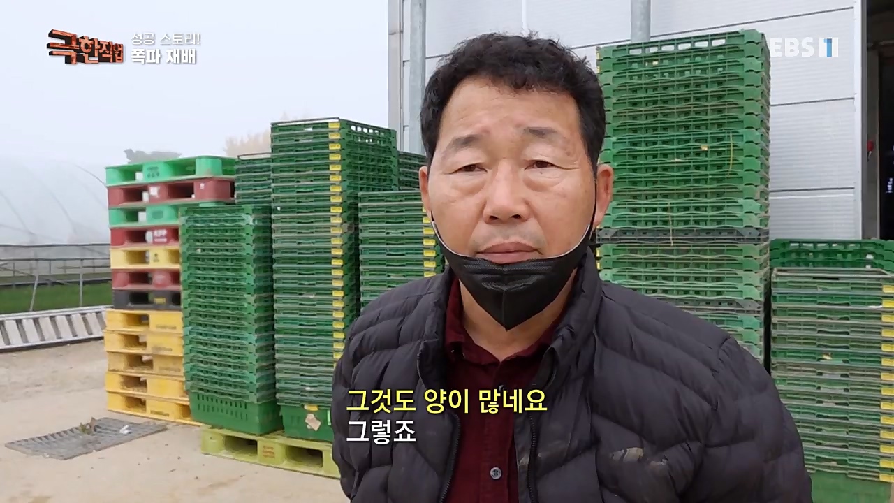 TV - 교육의 중심 EBS성공 스토리! 쪽파 재배와 과일 도매.mp4_20221209_203553.991.jpg