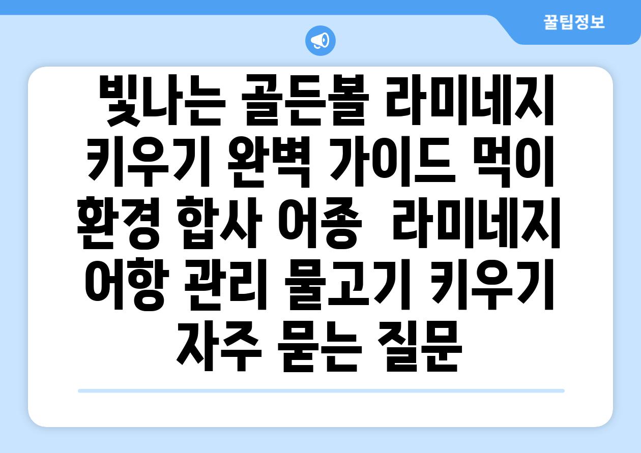 ## 빛나는 골든볼 라미네지 키우기 완벽 가이드| 먹이, 환경, 합사 어종 | 라미네지, 어항 관리, 물고기 키우기