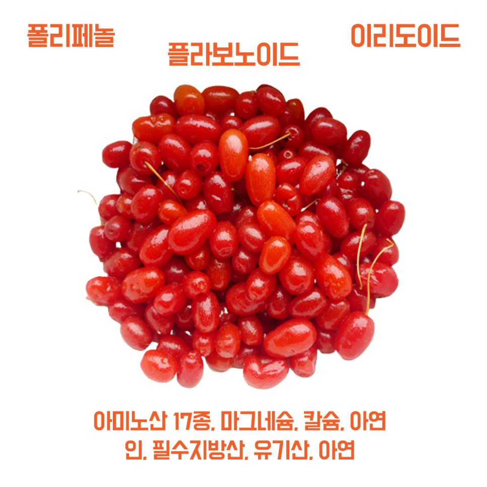 전남구례말린 산수유 12