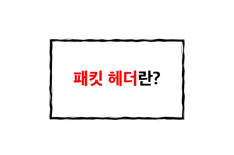  패킷 헤더란?