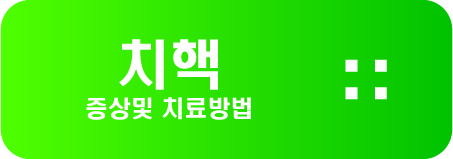  치핵 증상및 치료방법