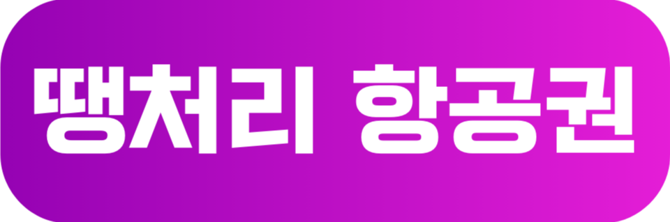 땡처리 항공권 예매 바로가기