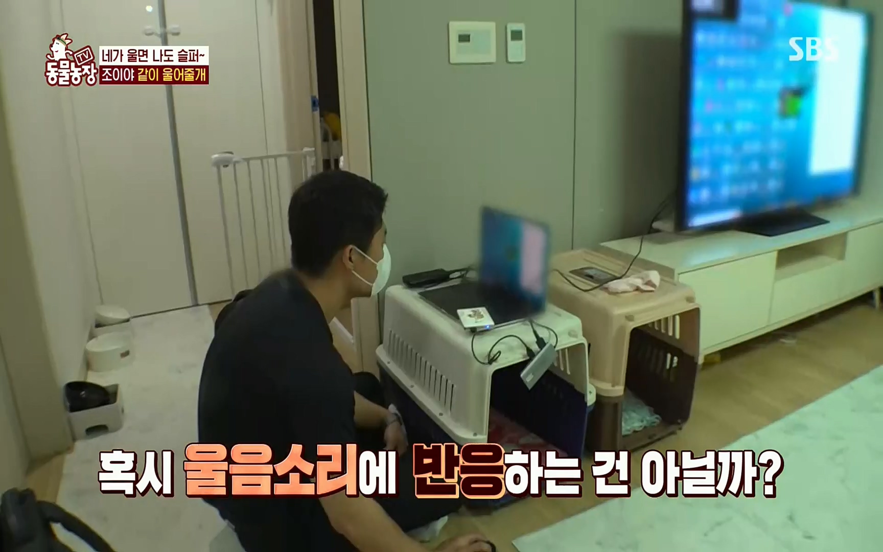 TV 동물농장.E1077.220710p.H264-F1RST.mp4_20220710_175423.119.jpg