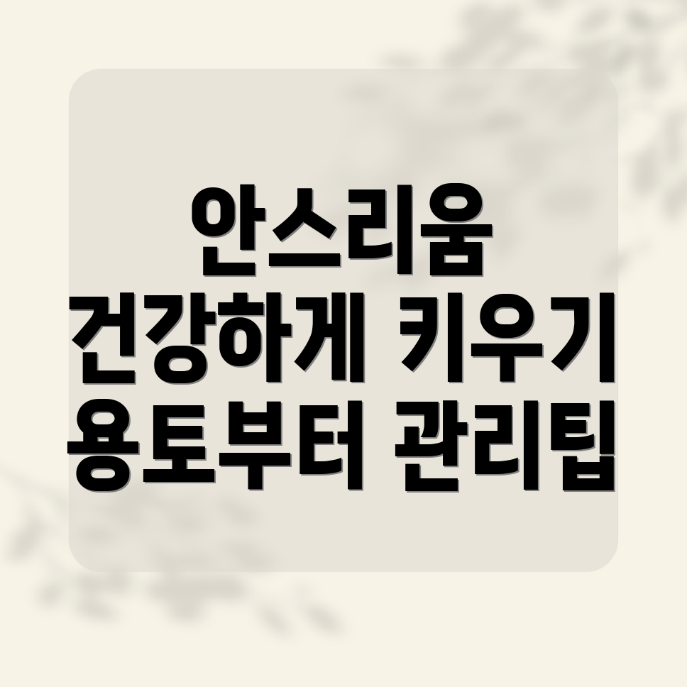 안스리움 키우기