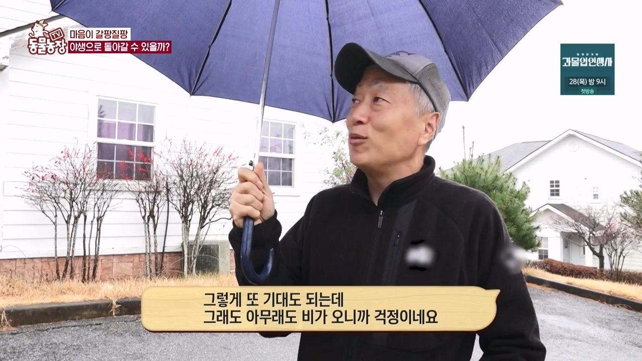 TV 동물농장.E1150.231218p-NEXT.mp4_20231217_171356.401.jpg