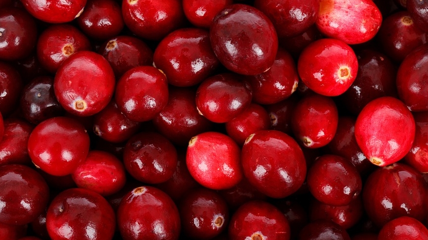  cranberry 크렌베리 효능 궁금합니다!