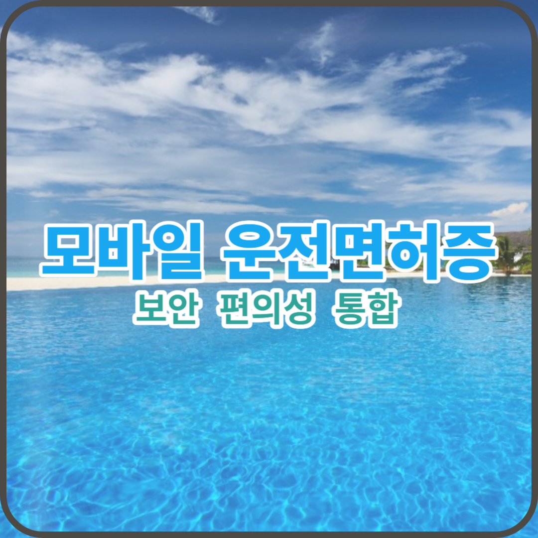  모바일 운전면허증의 보안 편의성 통합