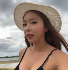  홍진영 논문 표절 논란