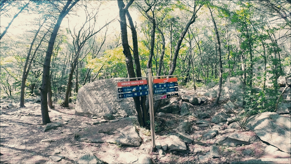 한국 명산 경기 파주 감악산 등산 mountain hiking