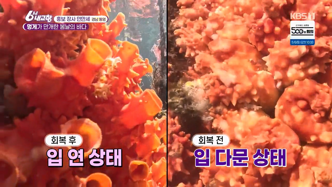 6시 내고향.E7779.230503p.H264-F1RST.mp4_20230505_181406.827.jpg