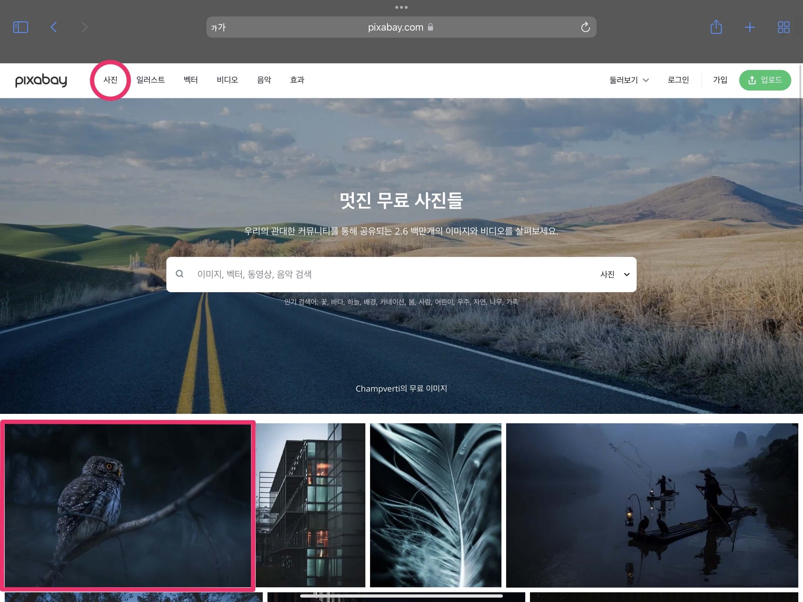 사진 메뉴