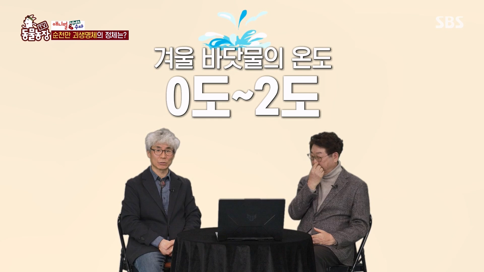 TV 동물농장.E1164.240324p-NEXT.mp4_20240324_172340.732.jpg