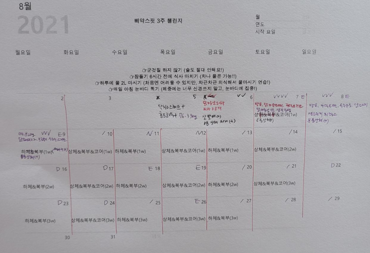 삐약스핏 이미지