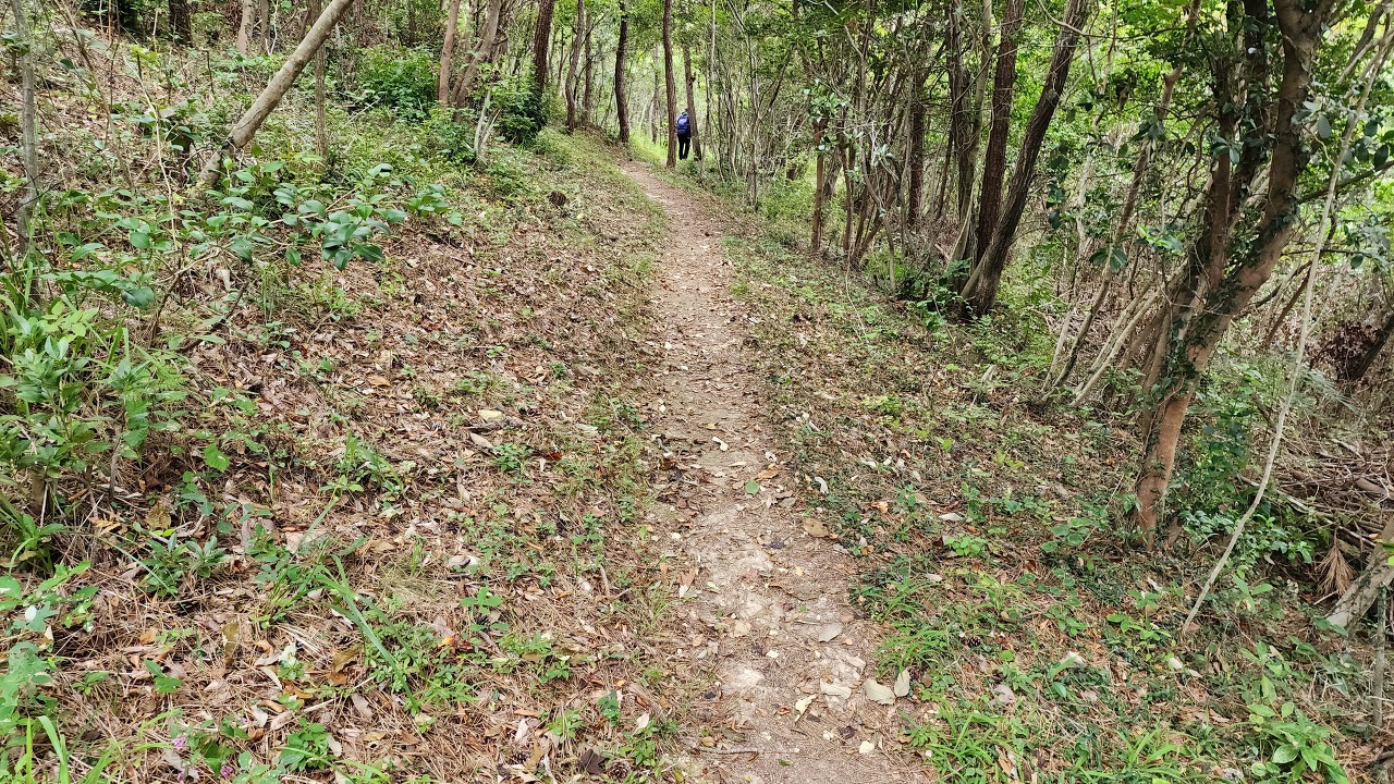 신지대교(신지도) 이미지