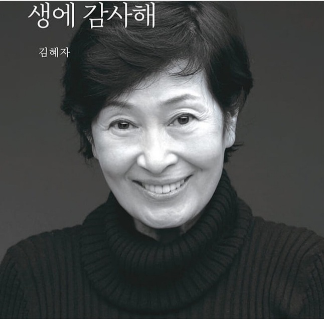 김혜자 이미지