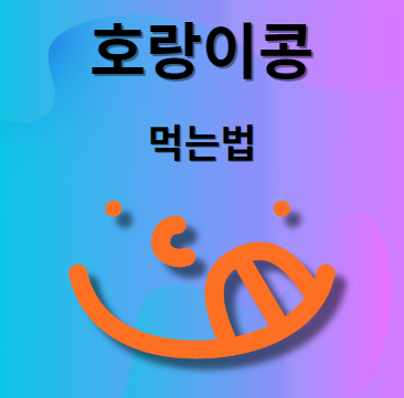 호랑이콩 먹는법