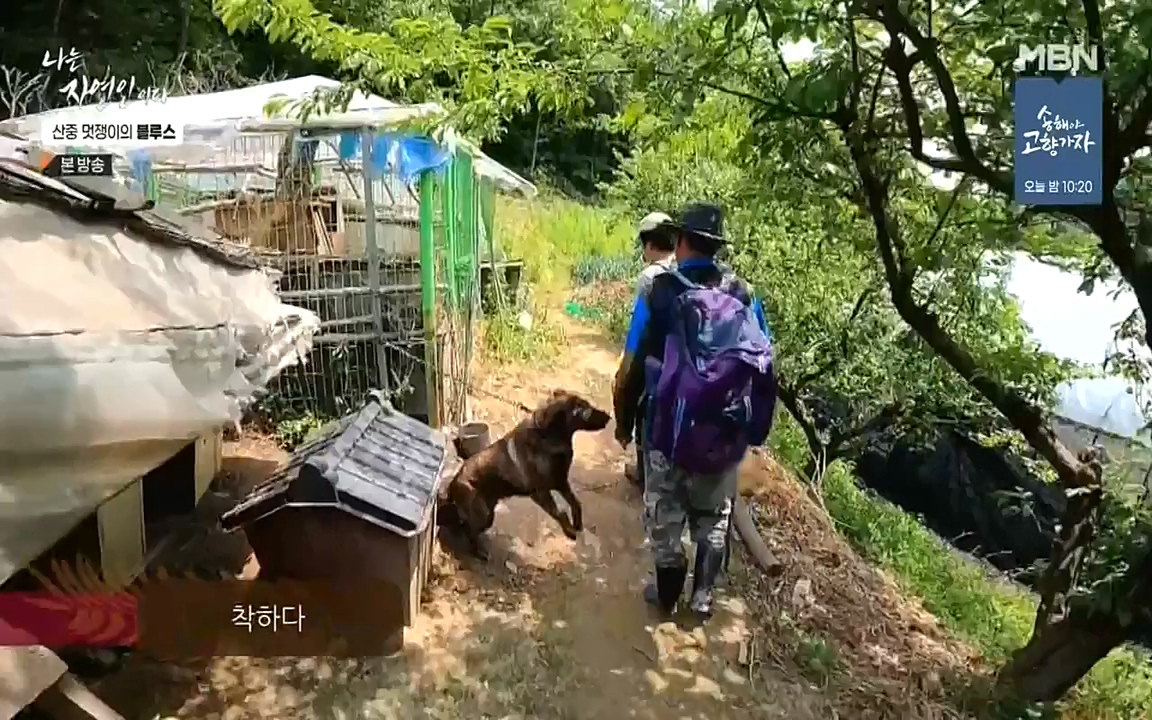나는 자연인이다.E505.220609p-NEXT.mp4_20220609_200147.182.jpg