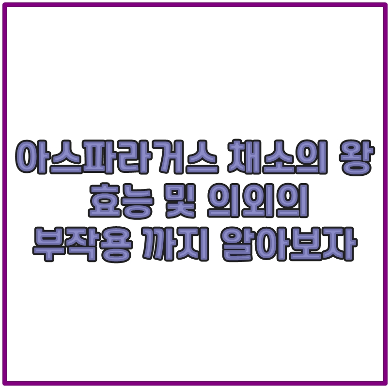 아스파라거스 채소의 왕 효능 및 의외의 부작용 까지 알아보자