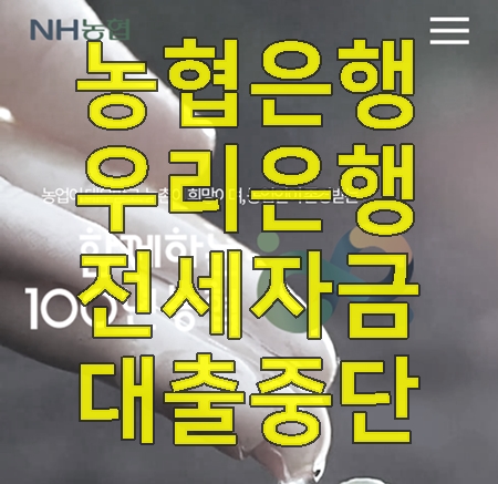  농협 주택담보대출 전세자금대출 27일부터 중단(+우리은행 전세자금대출 중단)