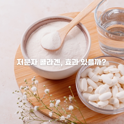 저분자 콜라겐